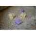Filibabba Sutter, +6 mdr., Fresh violet, 2 stk.