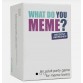 WHAT DO YOU MEME? (Engish version)