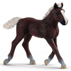 Schleich 13899, Black Forest føl