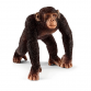 Schleich 14817, Chimpanse, Han