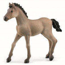 Schleich 13949, Criollo definitivo føl