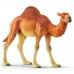 Schleich 14832, Dromedar