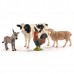 Schleich 42385, Dyr, Startsæt