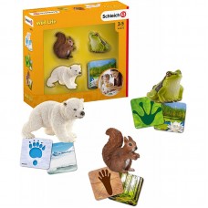 Schleich 42474, Flash cards