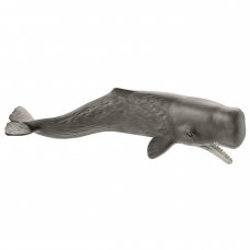 Schleich 14764, Kaskelothval