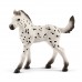 Schleich 13890, Knabstrupper føl