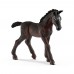 Schleich 13820, Lipizzaner føl
