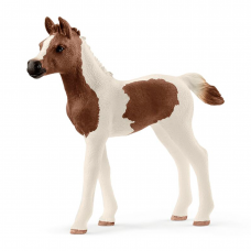 Schleich 13839, Pintabian føl