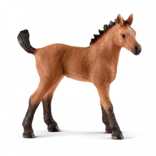 Schleich 13854, Quarter føl