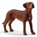 Schleich 13895, Rhodesian ridgeback