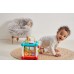 Activity Box